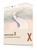 Mindfulness X©